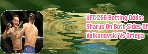Holloway ortega odds